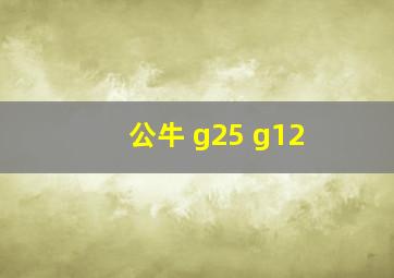 公牛 g25 g12